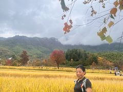 -塔川景区
