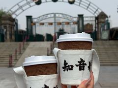 -武汉知音号