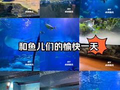 -太平洋海底世界