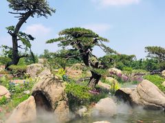 -罗红摄影艺术馆