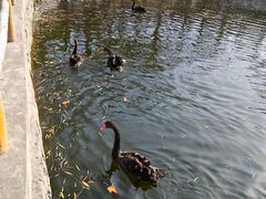 -石家庄市动物园