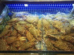 -小厨师·二十年沈家门小海鲜(百井坊巷店)