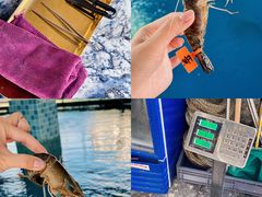 -SHRIMP CLUB万东餐饮钓虾·清吧