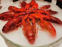 -红盔甲·小龙虾(天钥桥店)