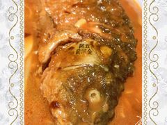 -阿五黄河大鲤鱼(纬三路店)