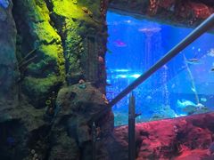 -沈阳海洋探索中心