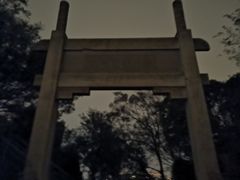 -紫金山山顶公园