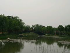 -武清南湖绿博园
