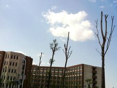 -天津现代职业技术学院
