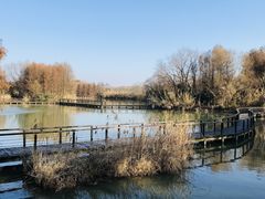 -苏州太湖国家湿地公园