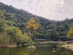 -武汉姚家山旅游景区