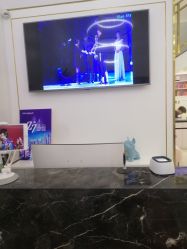 -YESIDO椰岛造型