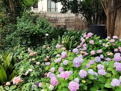 -常熟路(地铁站)