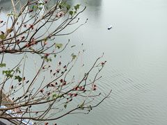 -龙泉洞(沙坪坝区)