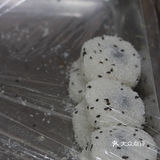 📍武汉探店 | 糯米空千万别错过 | 12r的驴打滚真香