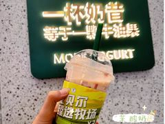 -茉酸奶(春熙路店)