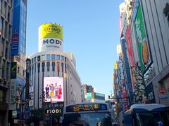 -涩谷区