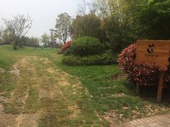 -上海崇明金茂凯悦酒店