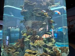 -福州罗源湾海洋世界旅游区
