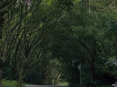 -深圳国际园林花卉博览园