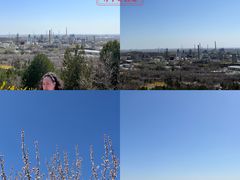 -白水寺森林公园