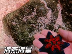 -沈阳海洋探索中心