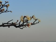 -阳澄湖半岛旅游度假区