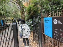 -墨尔本皇家植物园