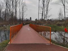 -桤木河湿地公园