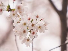 -苏州上方山国家森林公园