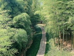 -良渚古城遗址公园