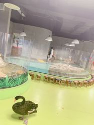 -七巧国萌宠乐园(龙湖天街店)