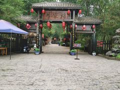 -合肥滨湖国家森林公园