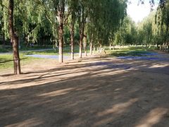 -东坝千亩湖公园