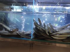 -本炙炭烤·蒲烧活鳗料理店(金沙洲店)