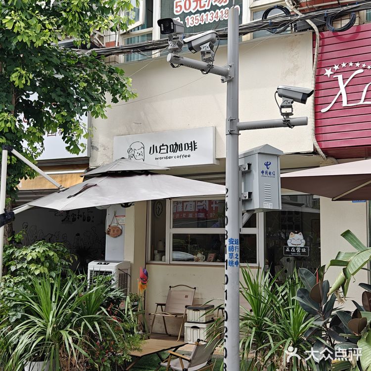 我的咖啡品鉴日记