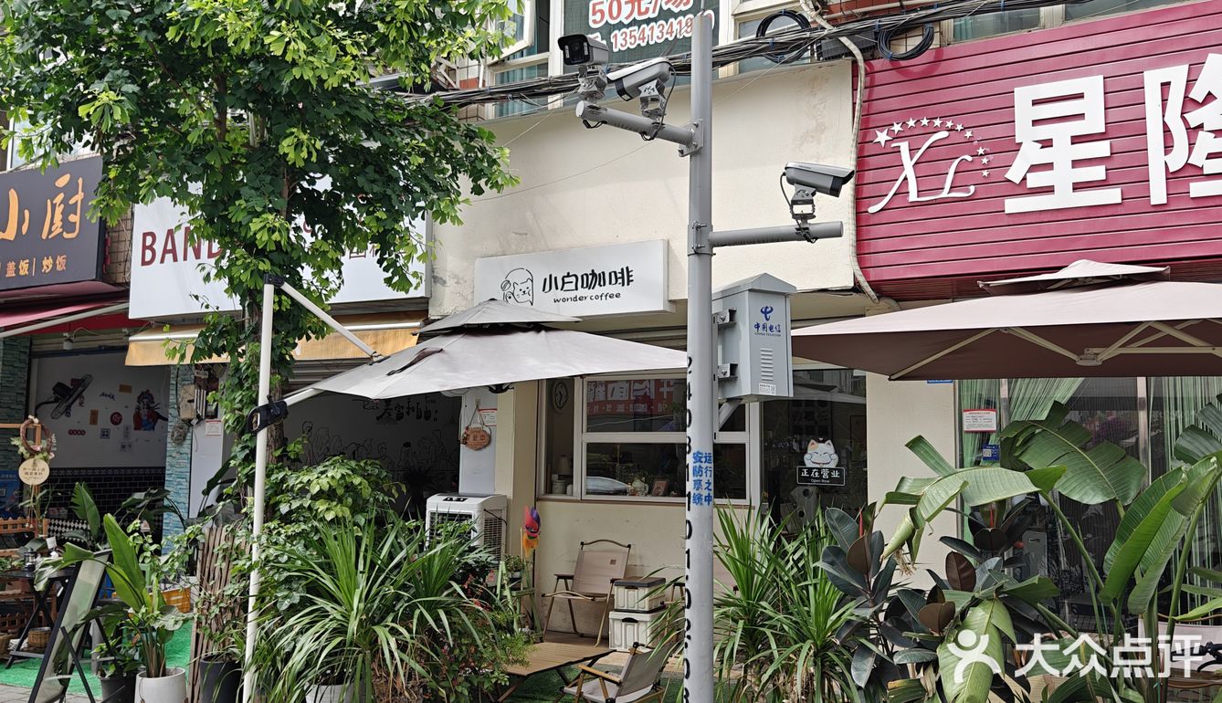 我的咖啡品鉴日记