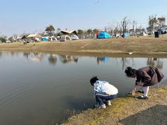 -春花秋色城市公园
