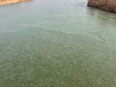 -临汾涝洰河生态公园