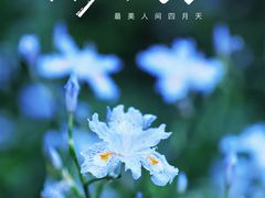 -贡湖湾湿地公园