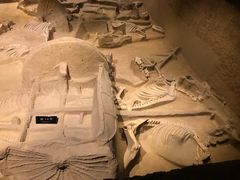 -洛阳周王城天子驾六博物馆