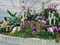 -上海鲜花港