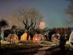 -Supine Bistro溯泮餐厅