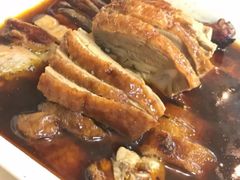 -蒲氏烤鸭(百寿路店)