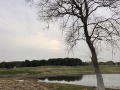 -苏州湾体育公园