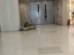 -老板恋上鱼(恒隆广场店)