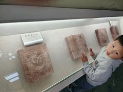 -延庆地质公园博物馆