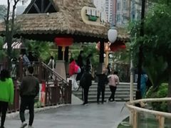 -灵玲国际马戏城