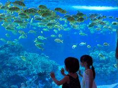 -海合安成都极地海洋公园