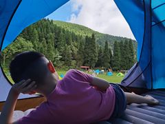 -武陵山森林公园